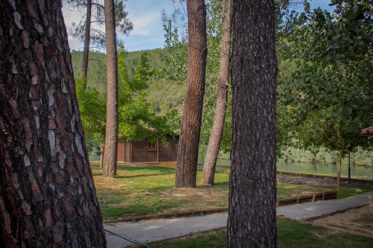 Xisto Camping Janeiro de Baixo Exterior photo