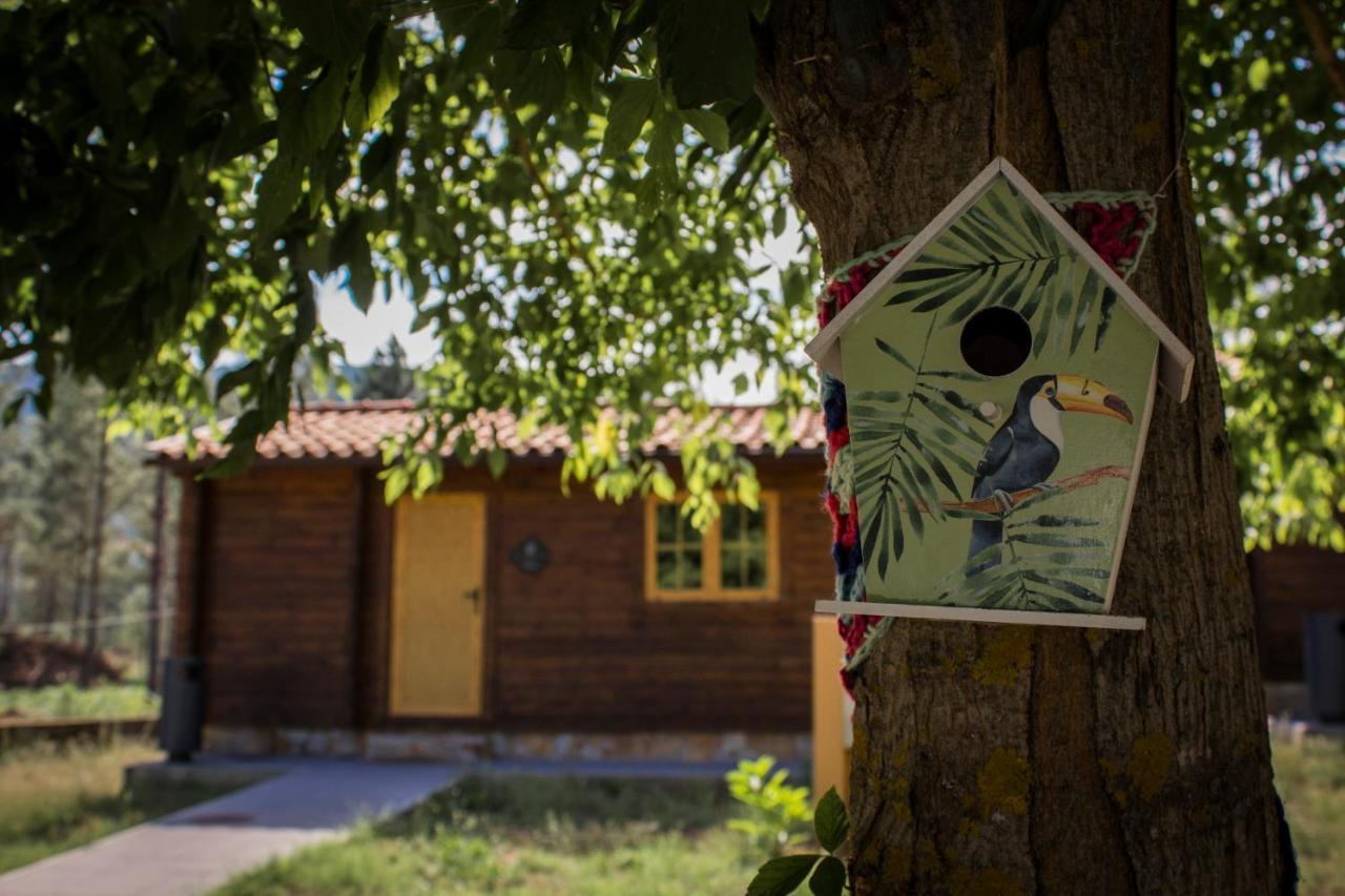 Xisto Camping Janeiro de Baixo Exterior photo